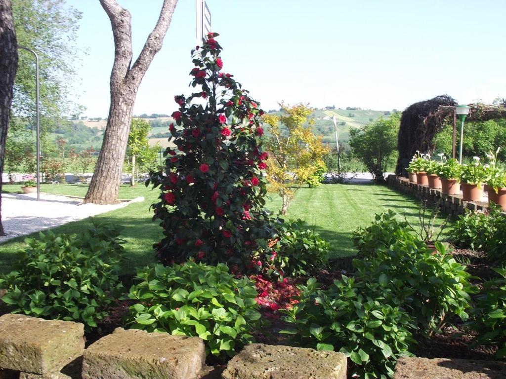 Hotel Ausonia Monte Porzio Экстерьер фото